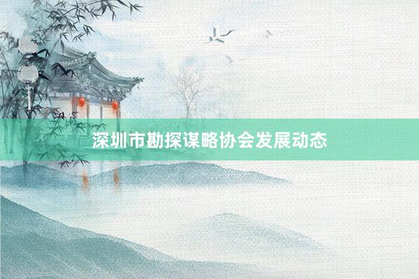 深圳市勘探谋略协会发展动态