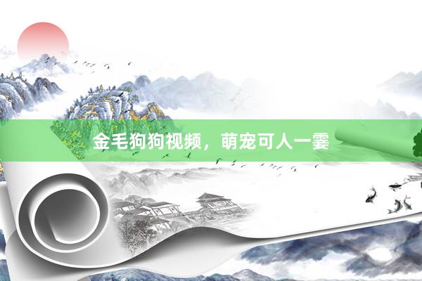 金毛狗狗视频，萌宠可人一霎