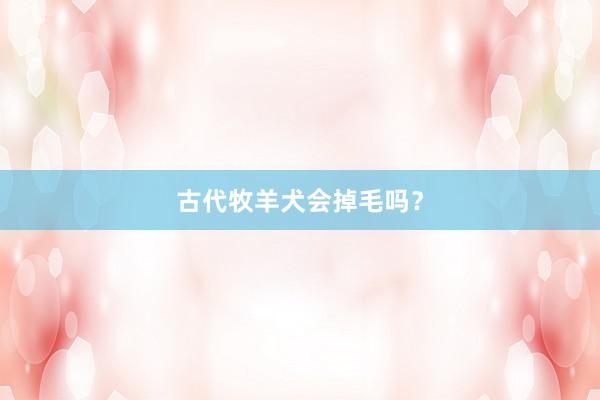 古代牧羊犬会掉毛吗？